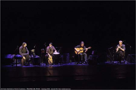 VivaFlamenco17